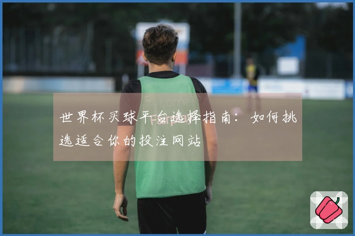 世界杯买球平台选择指南：如何挑选适合你的投注网站