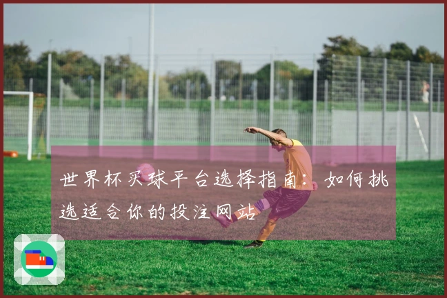 世界杯买球平台选择指南：如何挑选适合你的投注网站
